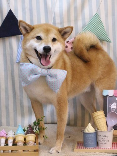 20250525シュウくん